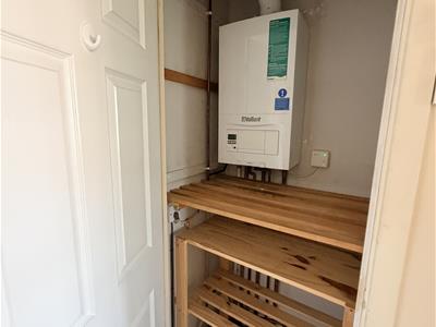 Picture 23